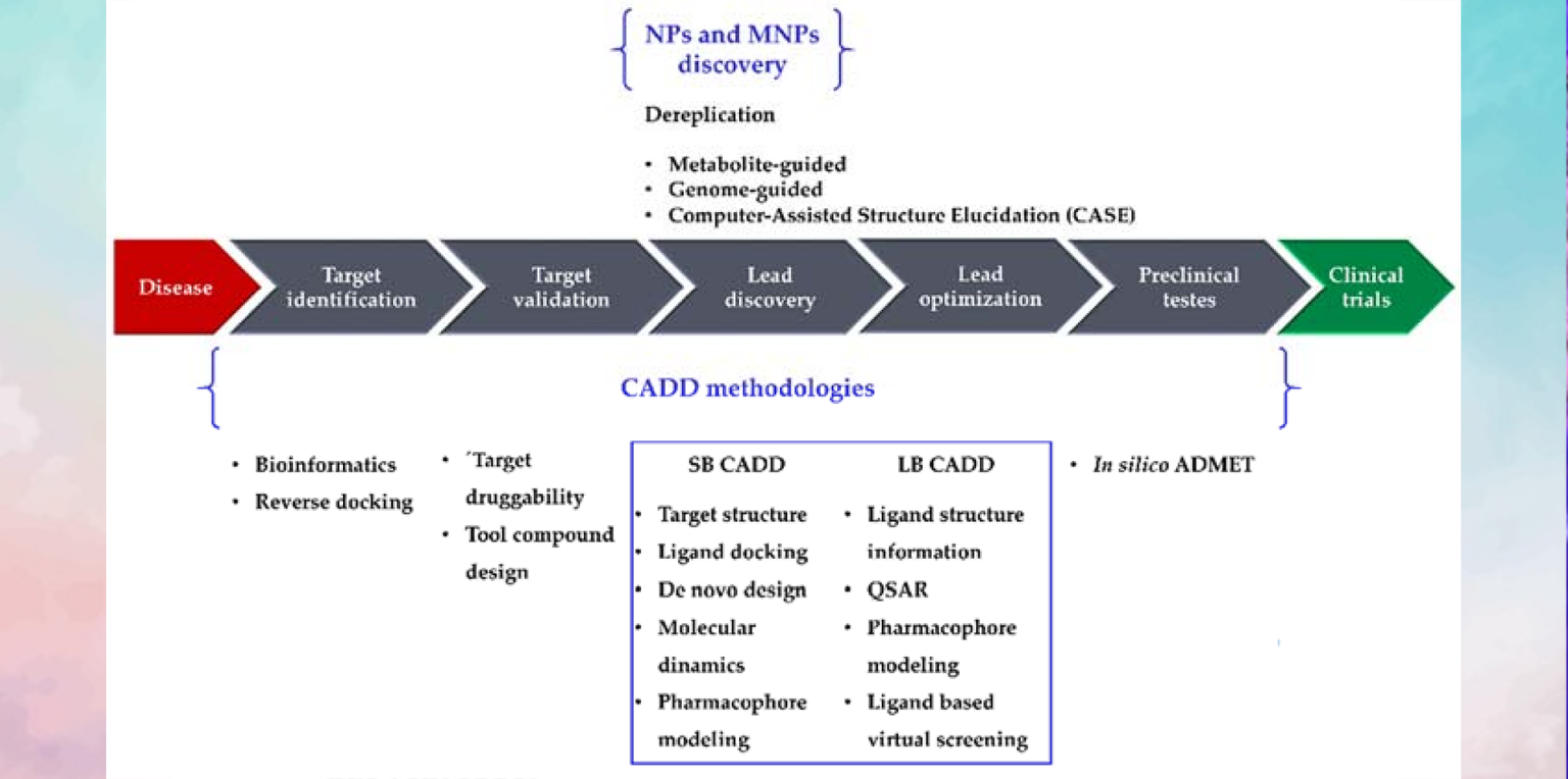 Basics Of Bioinformatics And Computer Aided Drug Design Biodukator